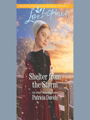 cover image of Shelter From the Storm